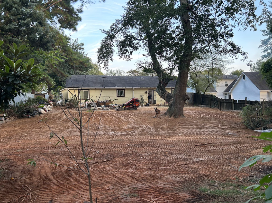 Freshly leveled backyard with a compact track loader parked by the house and a large oak left standing