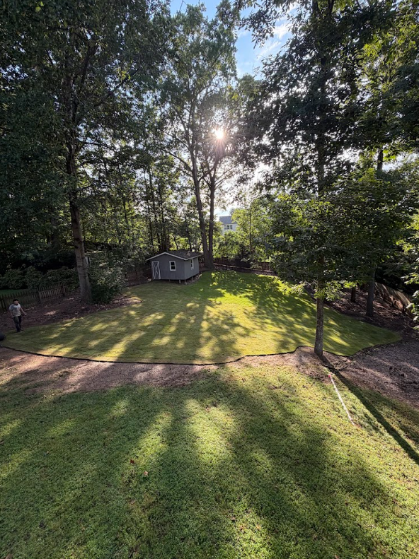 Freshly graded and sodded residential backyard with a shed, trees, and sunlight filtering through the canopy